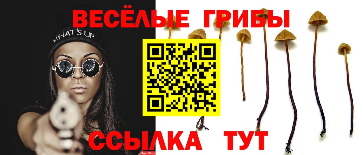 Псилоцибиновые грибы Cubensis  Вход с VPN  Тара 