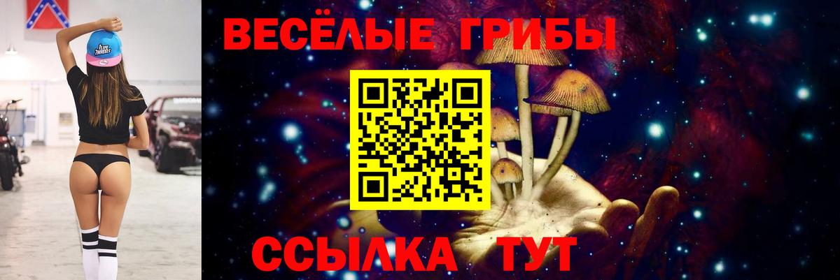 Псилоцибиновые грибы Magic Shrooms Тара